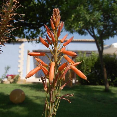 Terre Iblee Resort Chiaramonte Gulfi Εξωτερικό φωτογραφία