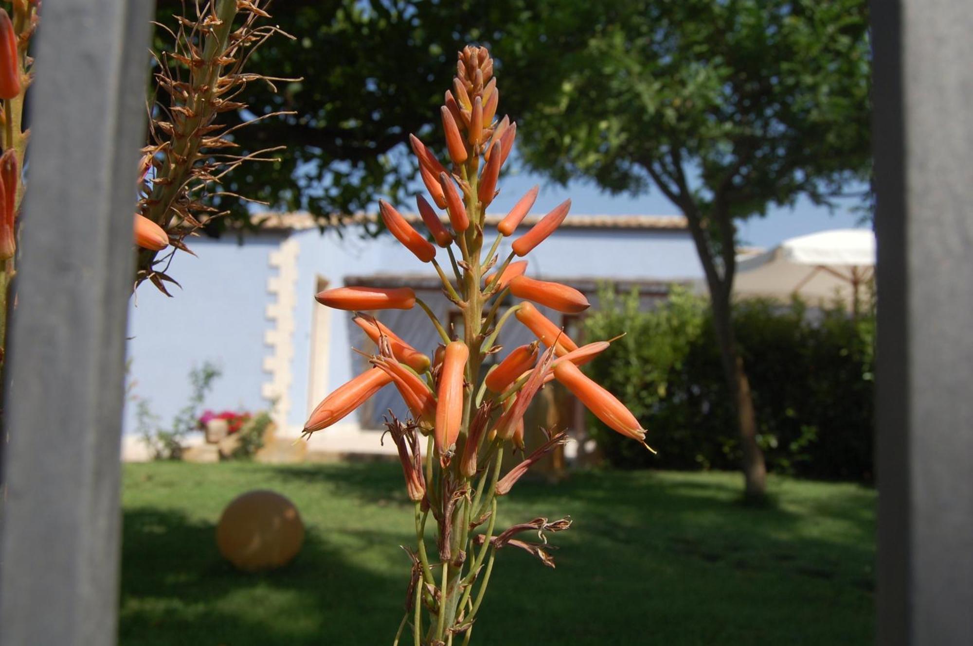 Terre Iblee Resort Chiaramonte Gulfi Εξωτερικό φωτογραφία